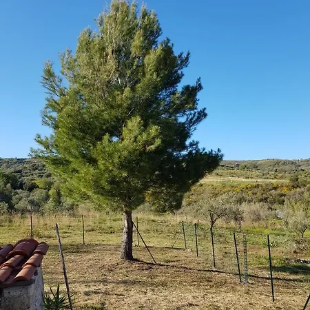Βίλα Giardino Dei Libri Ascea