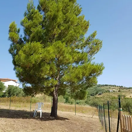 Villa Villetta Nel Verde *
