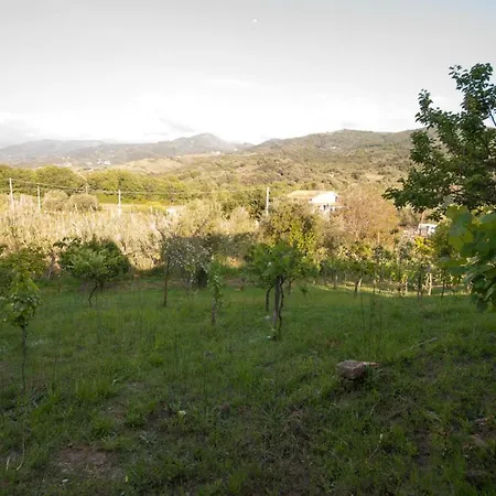 Villetta Nel Verde